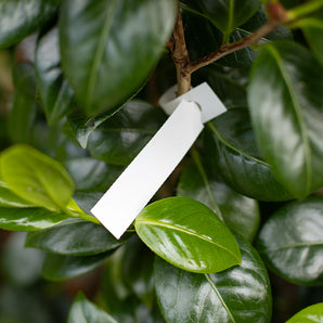 25 x 191mm MAX STRENGTH Self-Tie Loop-Lock Labels, 4-across, WHITE