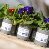 40 x 66 mm matt finish synthetic self-adhesive labels - 2-across - thermal transfer printable rolls - waterproof - horticulture - steel - chemicals - industrial