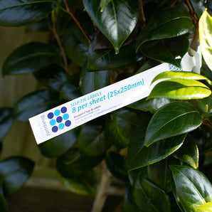 25 x 250 mm 8-per sheet, TABBED Self-Tie Loop-Lock Labels, WHITE