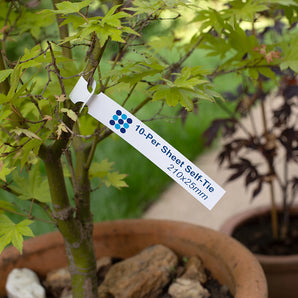 210 x 25mm 10-per sheet, Self-Tie Loop-Lock Labels, WHITE