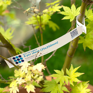 25 x 250 mm 8-per sheet, Self-Tie Loop-Lock Labels, WHITE