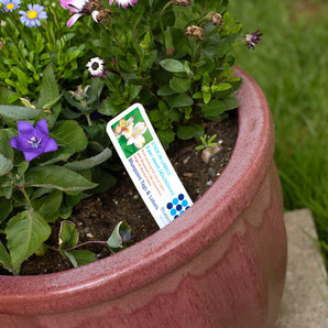 40 x 160 mm Stick-In Labels, Laser-Printable, 5 per sheet, WHITE