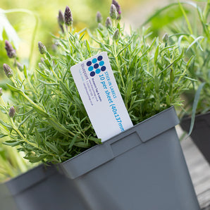 40 x 137 mm Stick-In Labels, Laser-Printable, 10 per sheet, WHITE