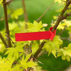 Coloured Loop-Lock Self-Tie Plant Labels – 25 x 191mm – Roll of 1000 – 4 Across