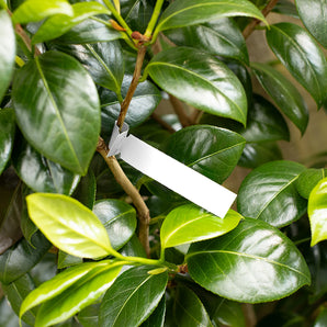 17 x 127 mm Self-Tie Loop-Lock Labels, 6-across, WHITE