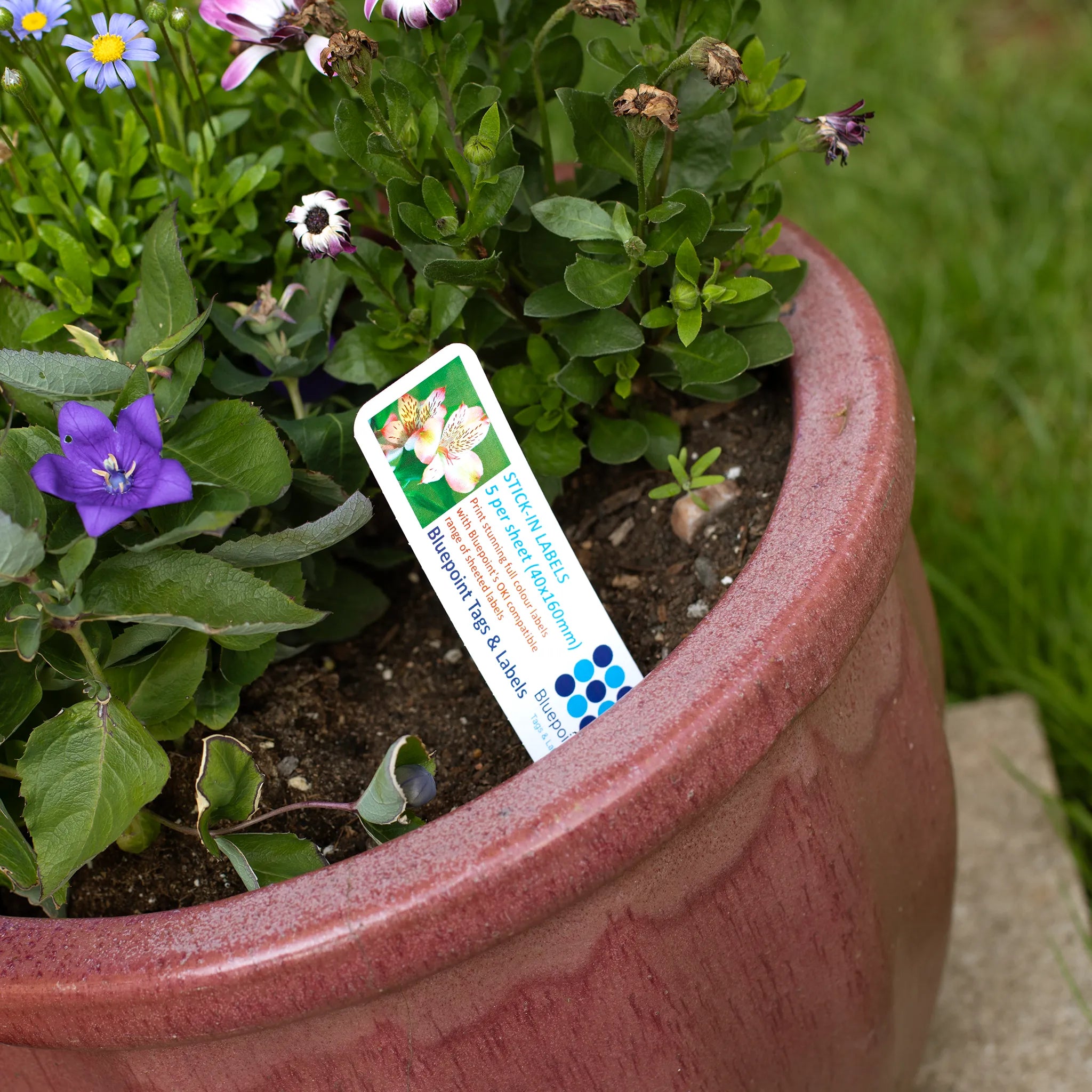 Stick In Label 40 x 160 mm – Bluepoint Labels